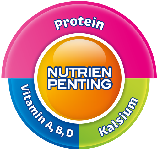 essential nutrients protein