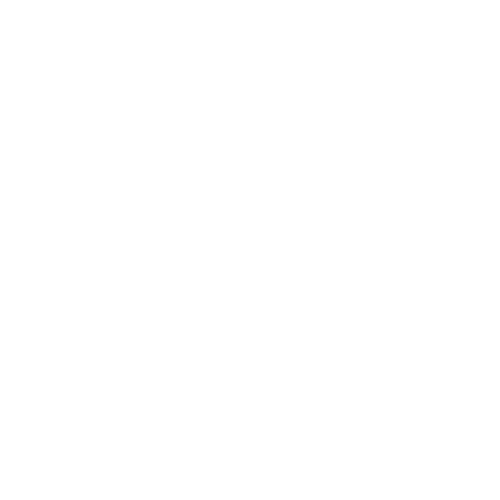 Scoop-2