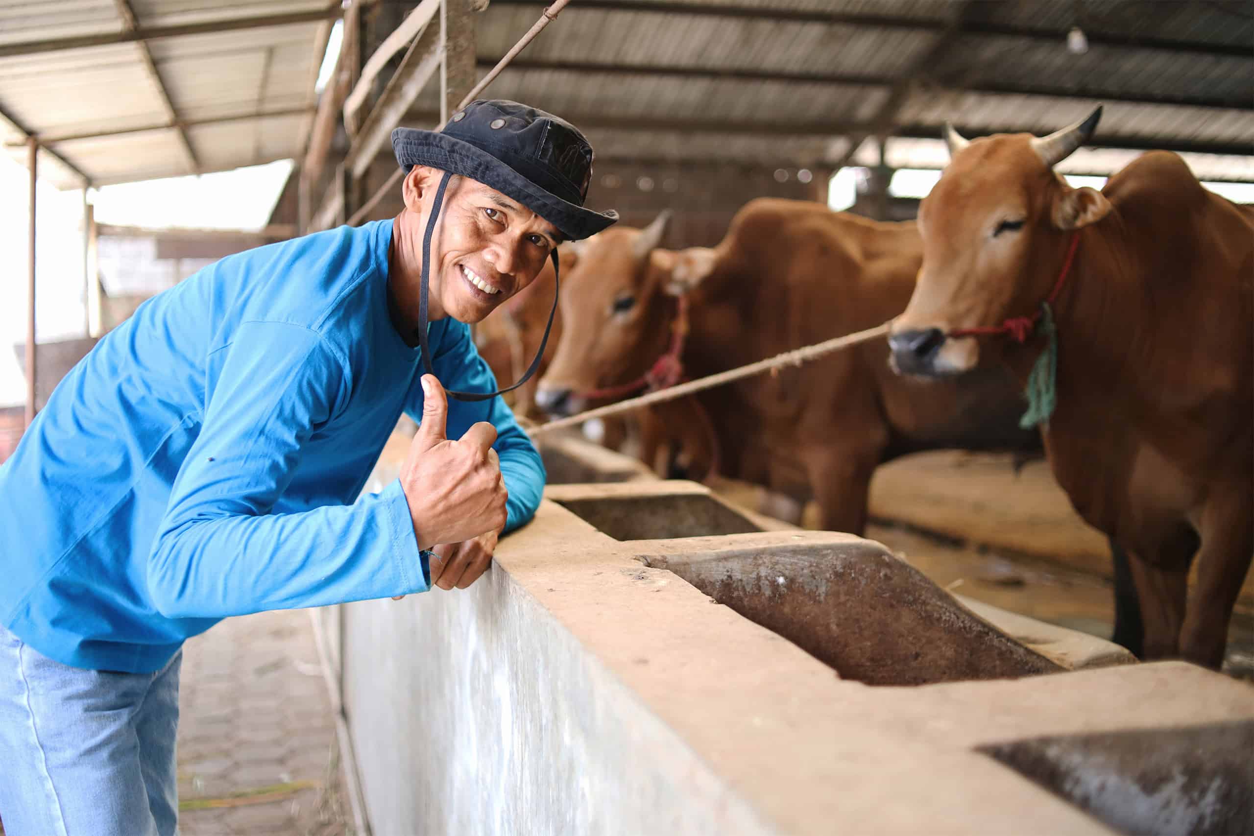 dlmi-better-sourcing-img1